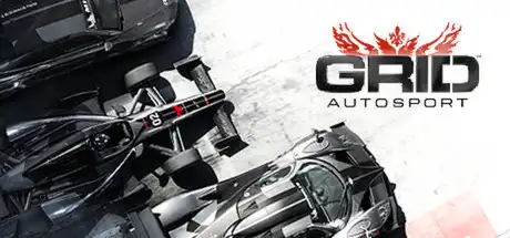 [PC]超级房车赛：汽车运动/超级房车赛：赛车运动/GRID Autosport-游戏库