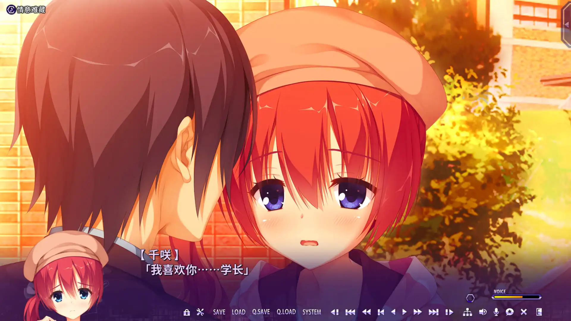 [PC]密命王牌/谜语小丑/Riddle Joker