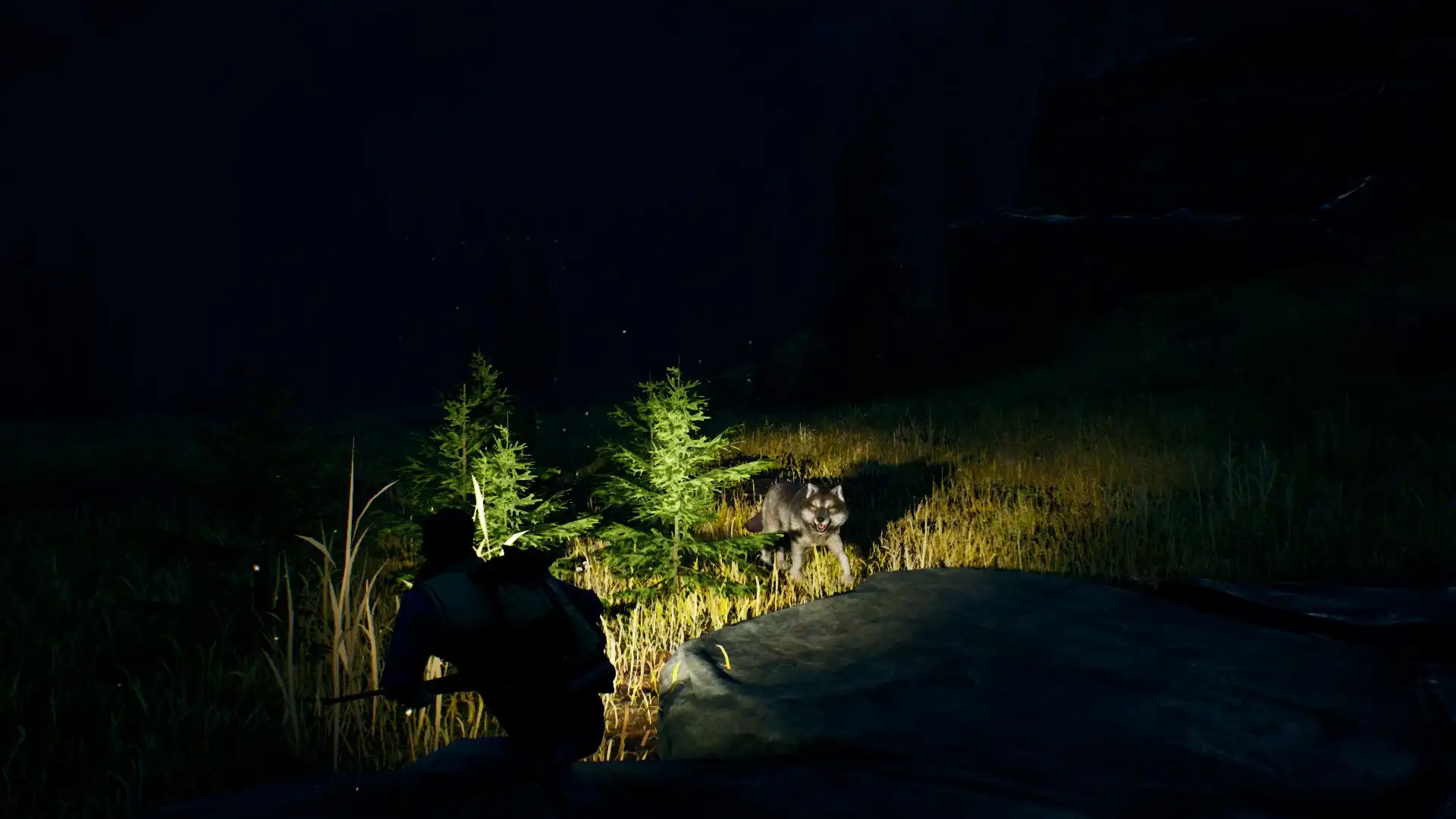 [PC]辽阔旷野/Open Country