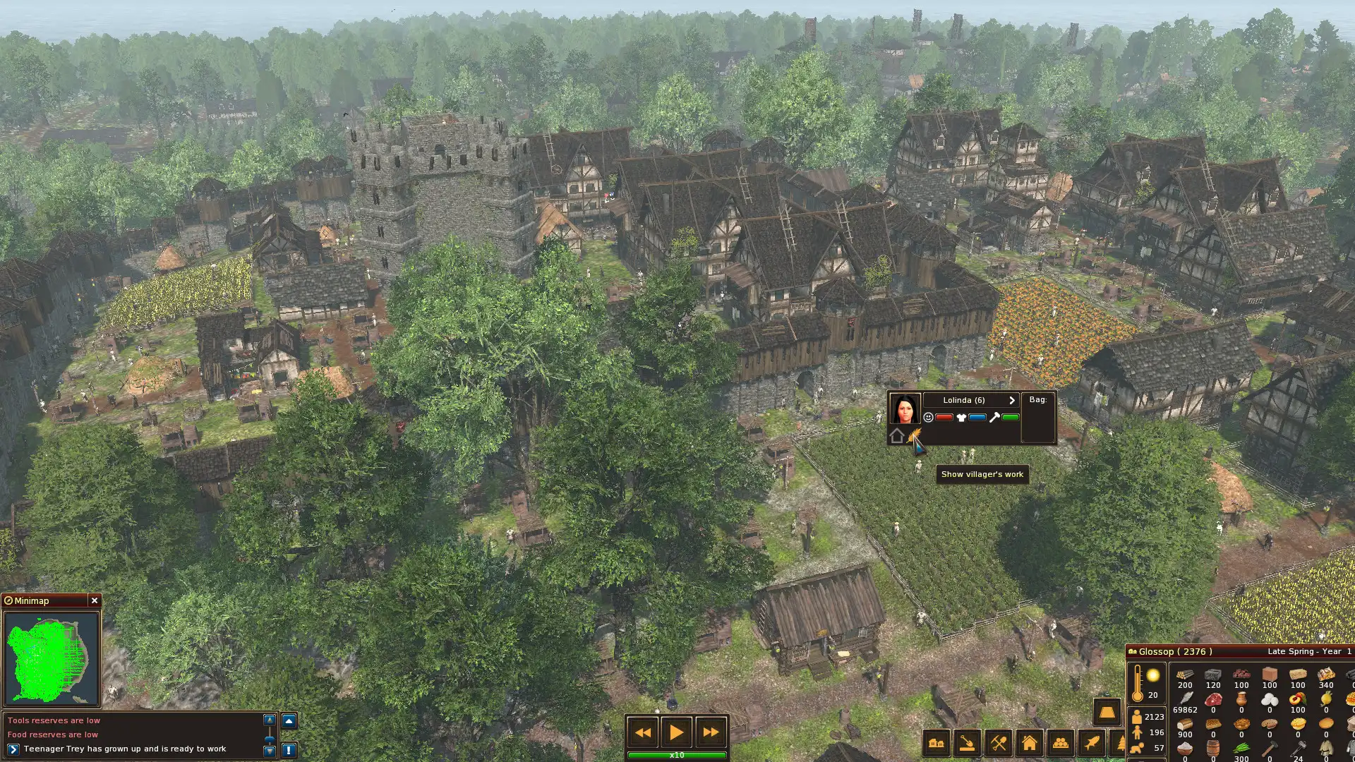 [PC]领地人生：林中村落/封建时代：林中村落/Life is Feudal: Forest Village
