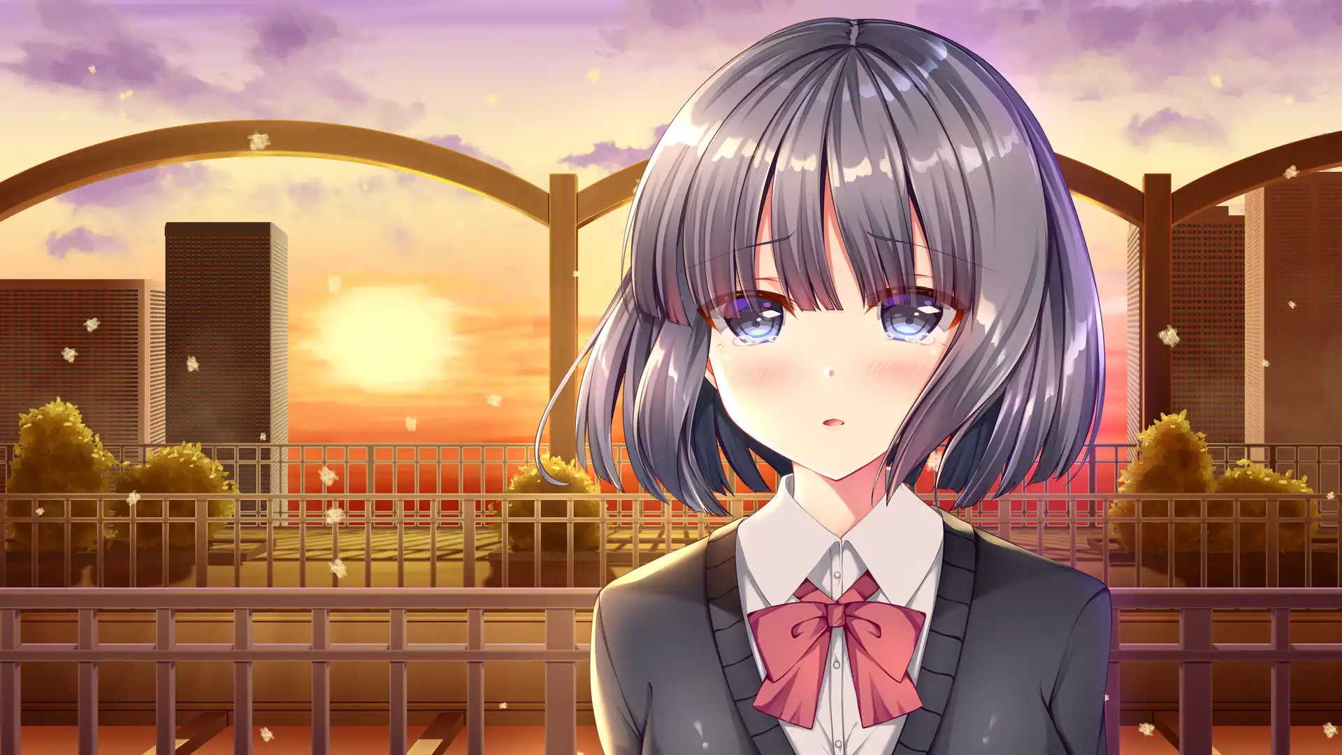 [PC]白色之翼/White Wings