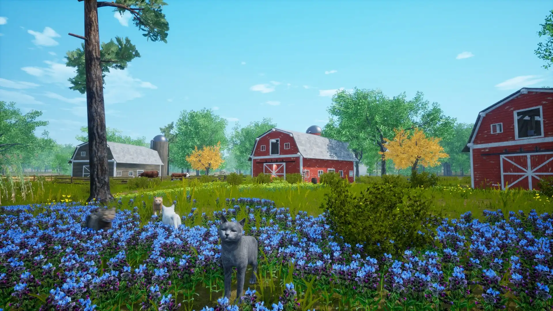 [PC]猫模拟器/Cat Simulator