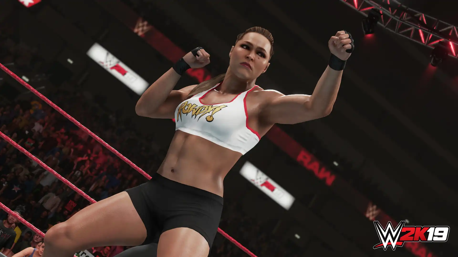 [PC]WWE 2K19/美国职业摔角联盟2K19-游戏库