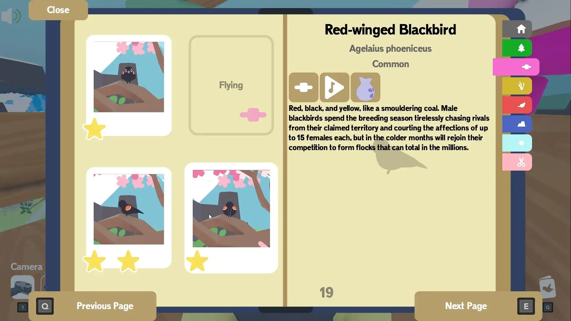 [PC]成群结队/Flock Around