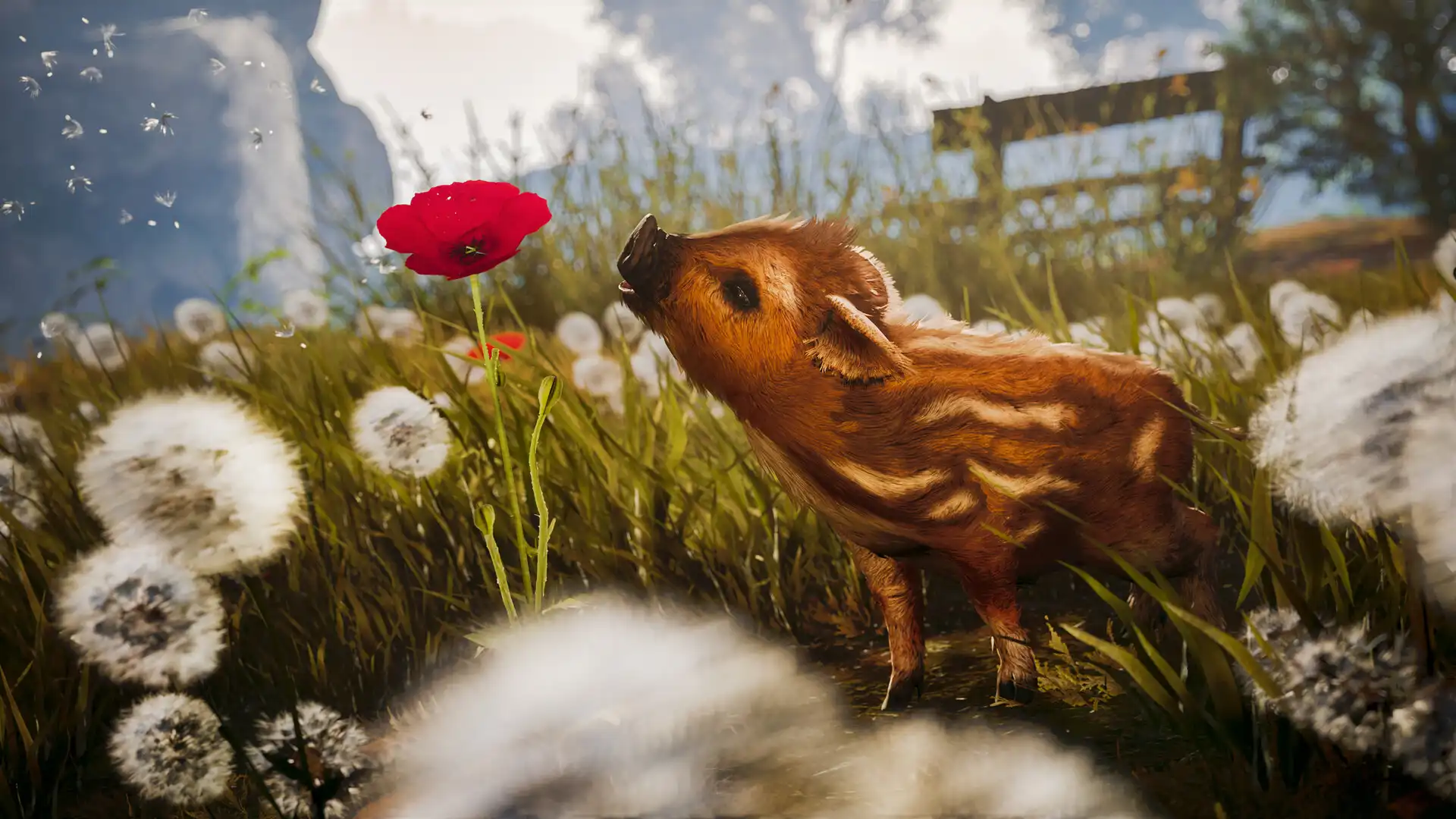 [PC]可爱冒险记/Adorable Adventures