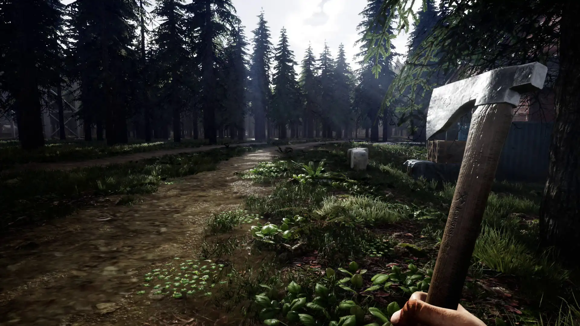 [PC]迷雾求生/Mist Survival