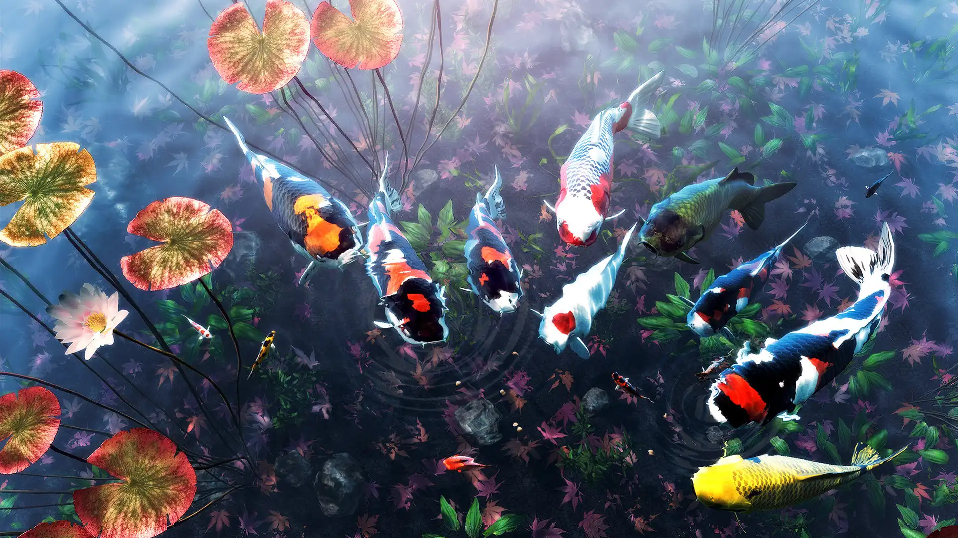 [PC]我的锦鲤/My Koi