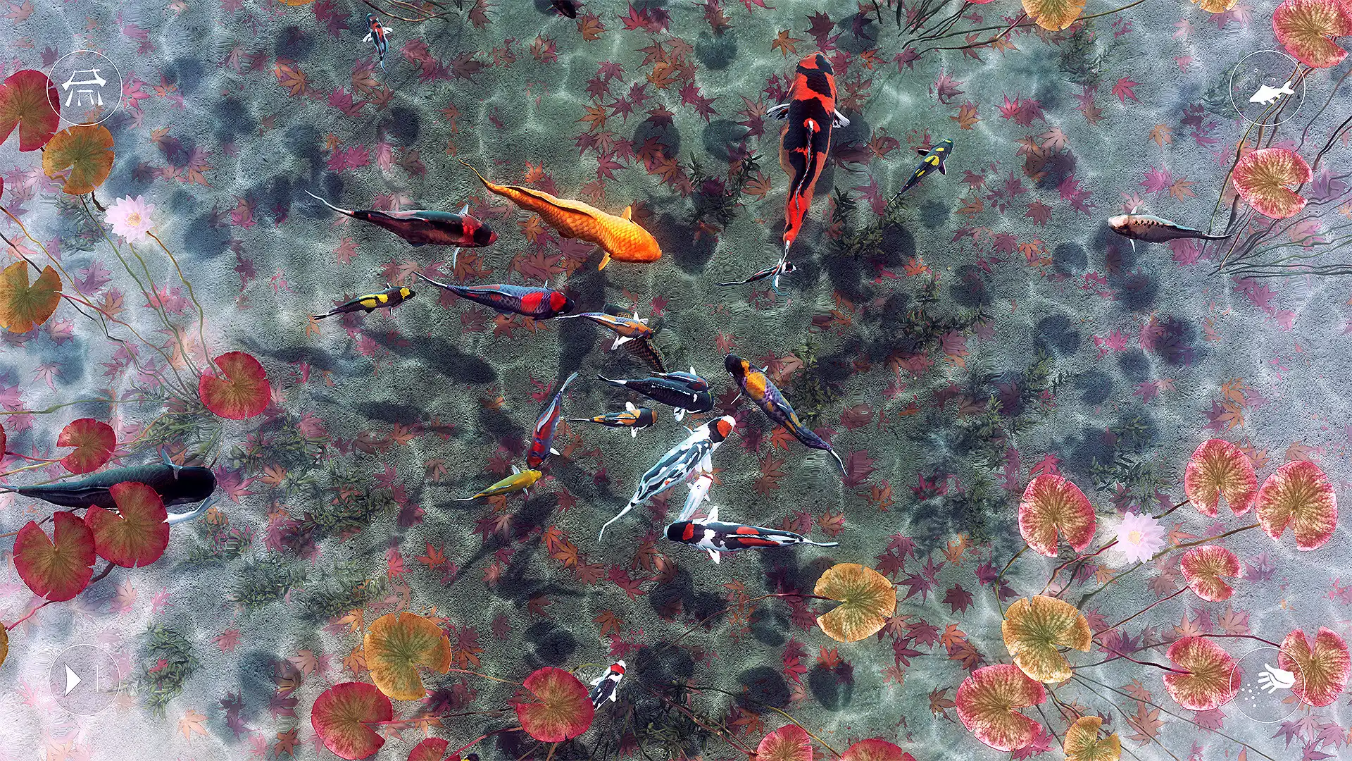 [PC]我的锦鲤/My Koi
