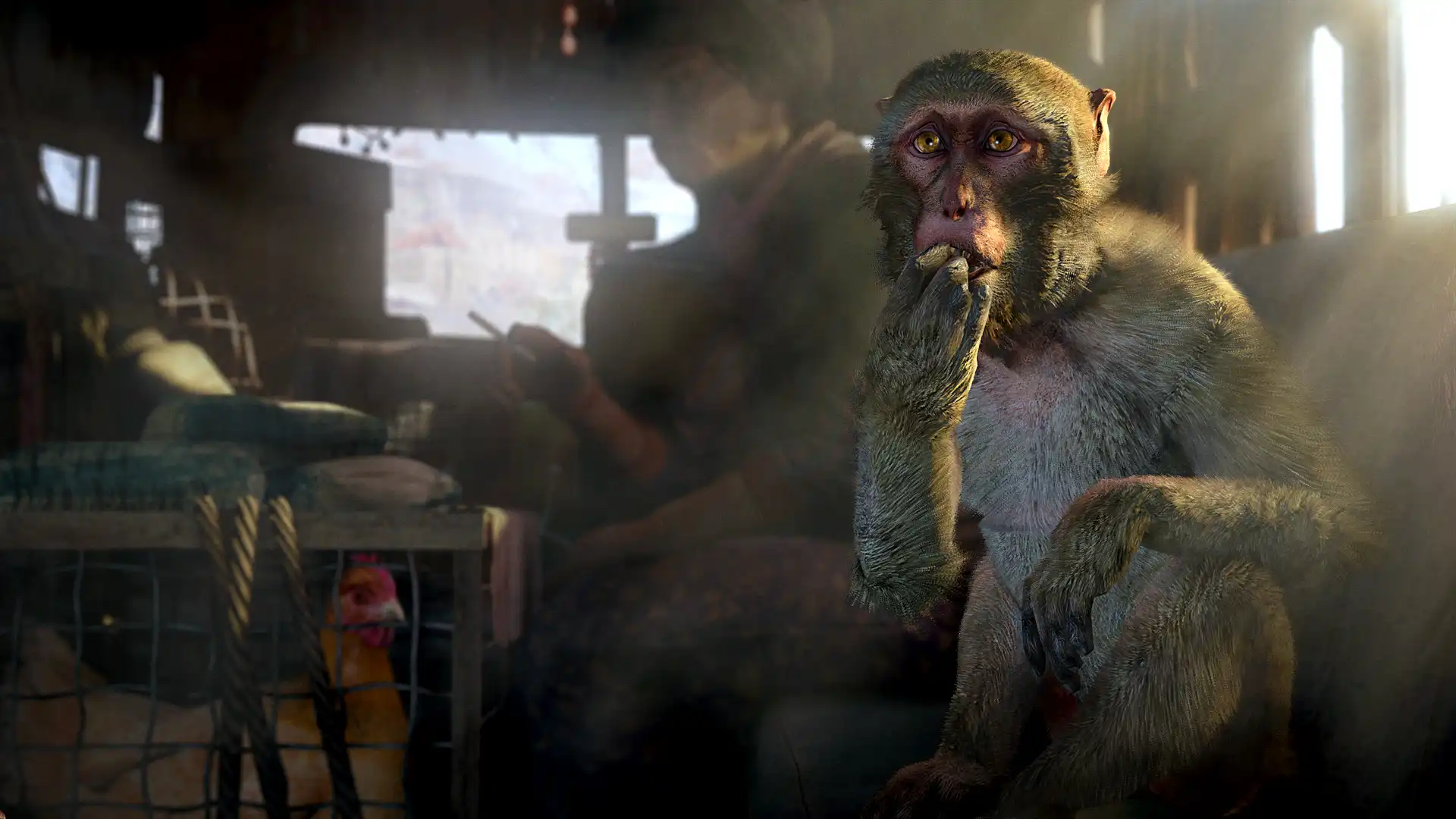 [PC]孤岛惊魂4/Far Cry 4