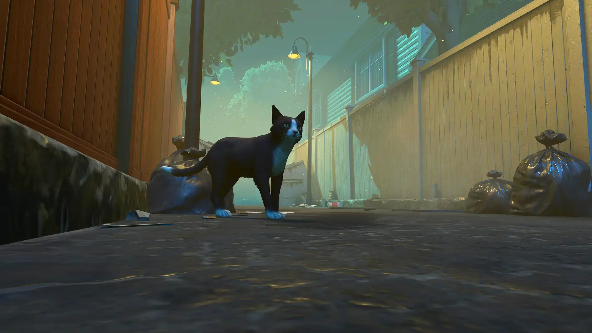 [PC]冒牌猫谜/Copycat