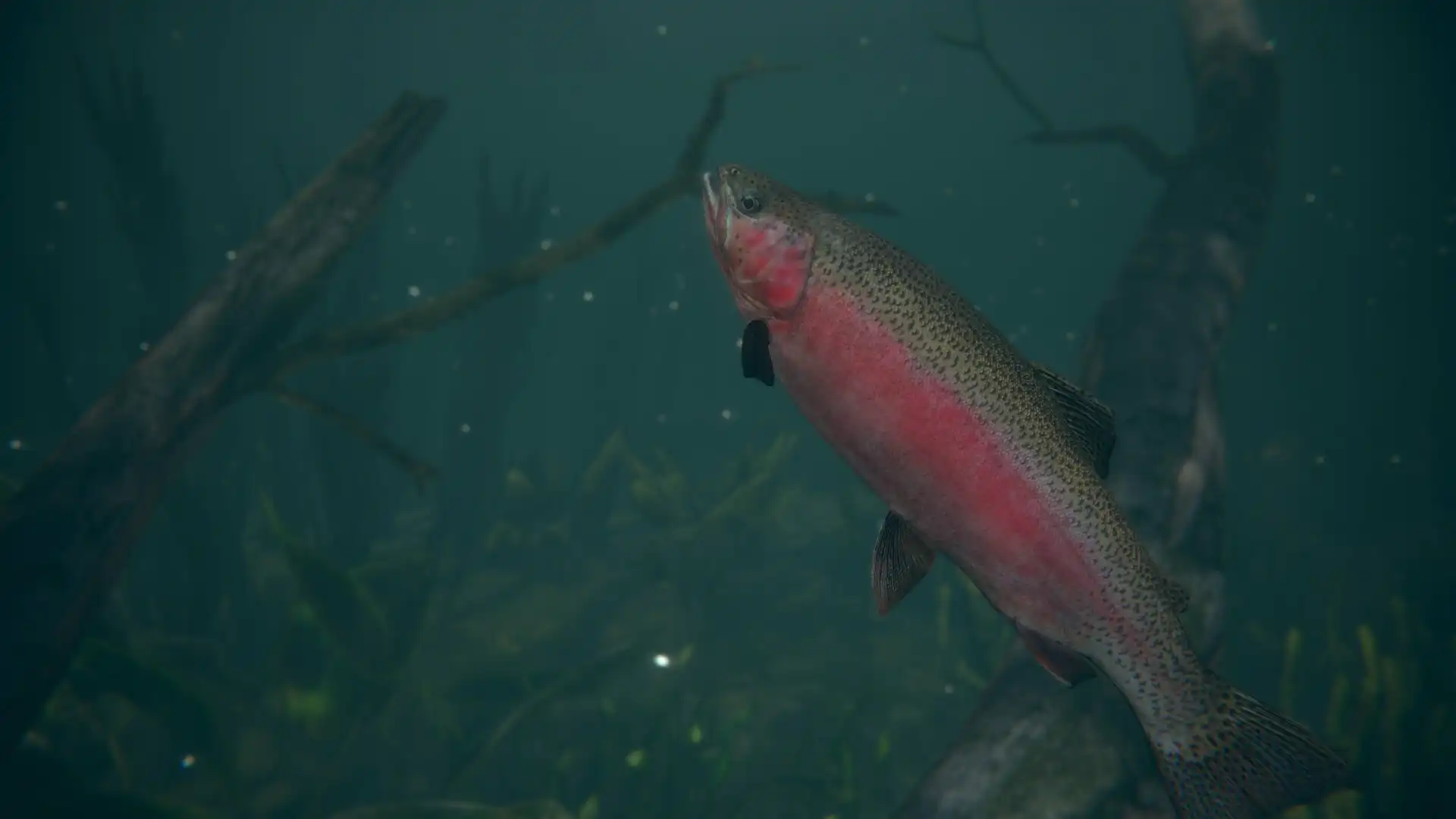 [PC]终极钓鱼模拟器2/Ultimate Fishing Simulator 2