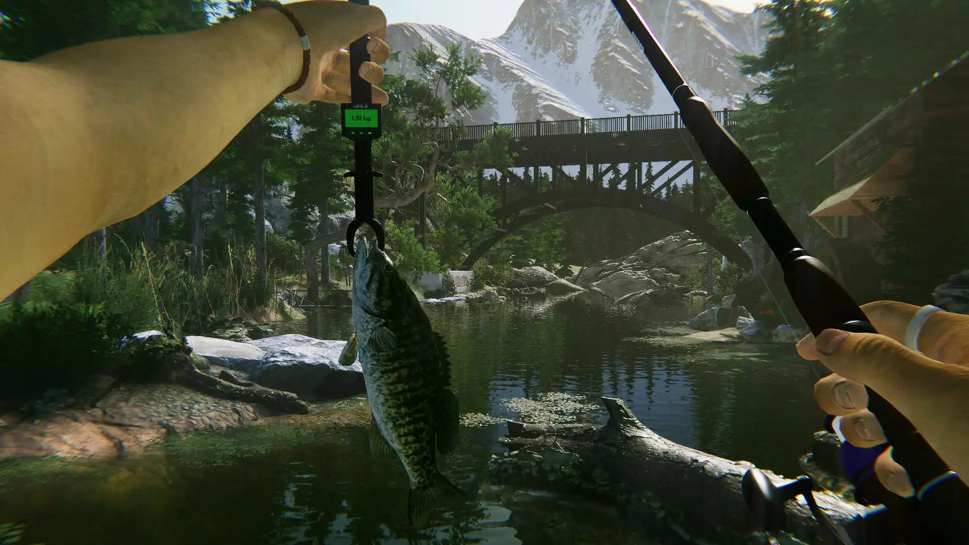 [PC]终极钓鱼模拟器2/Ultimate Fishing Simulator 2