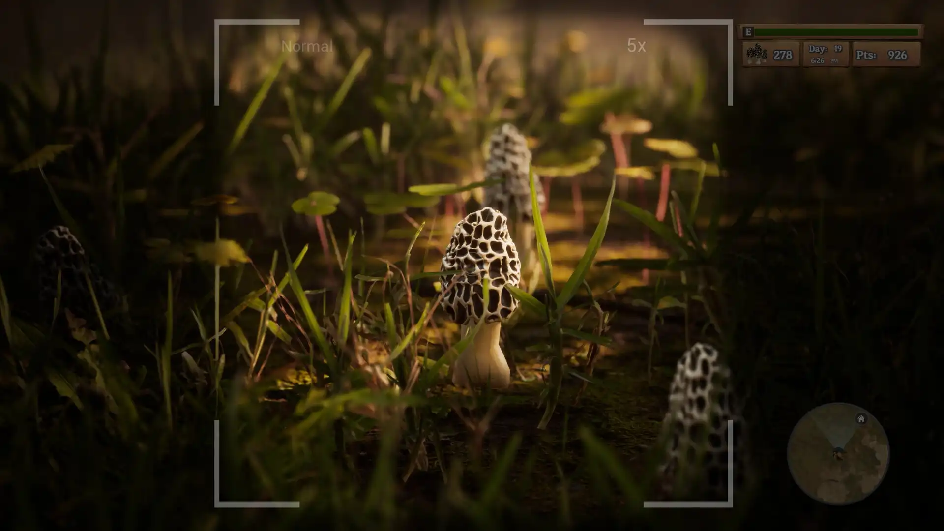 [PC]羊肚菌：狩猎/Morels: The Hunt
