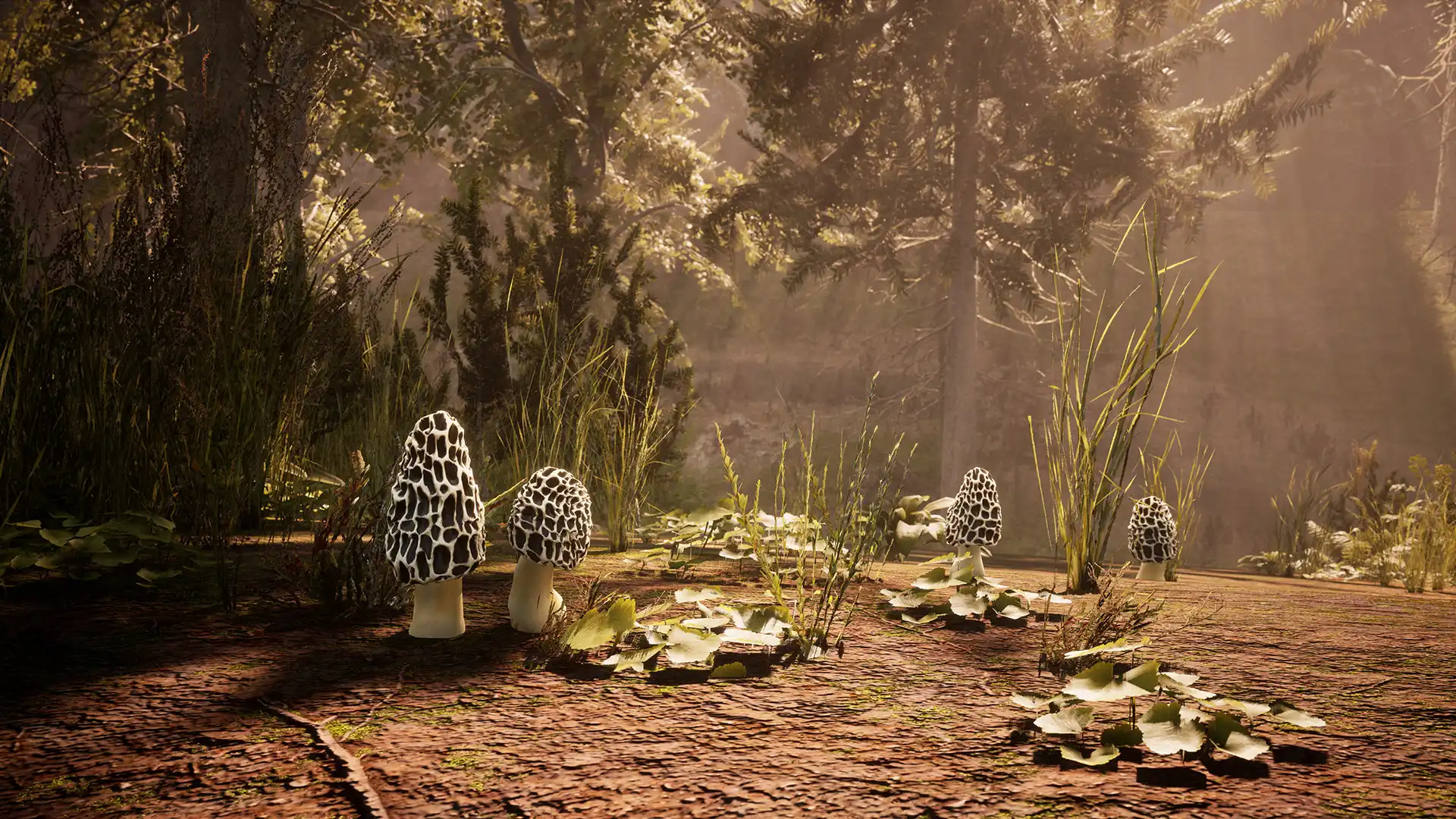 [PC]羊肚菌：狩猎/Morels: The Hunt