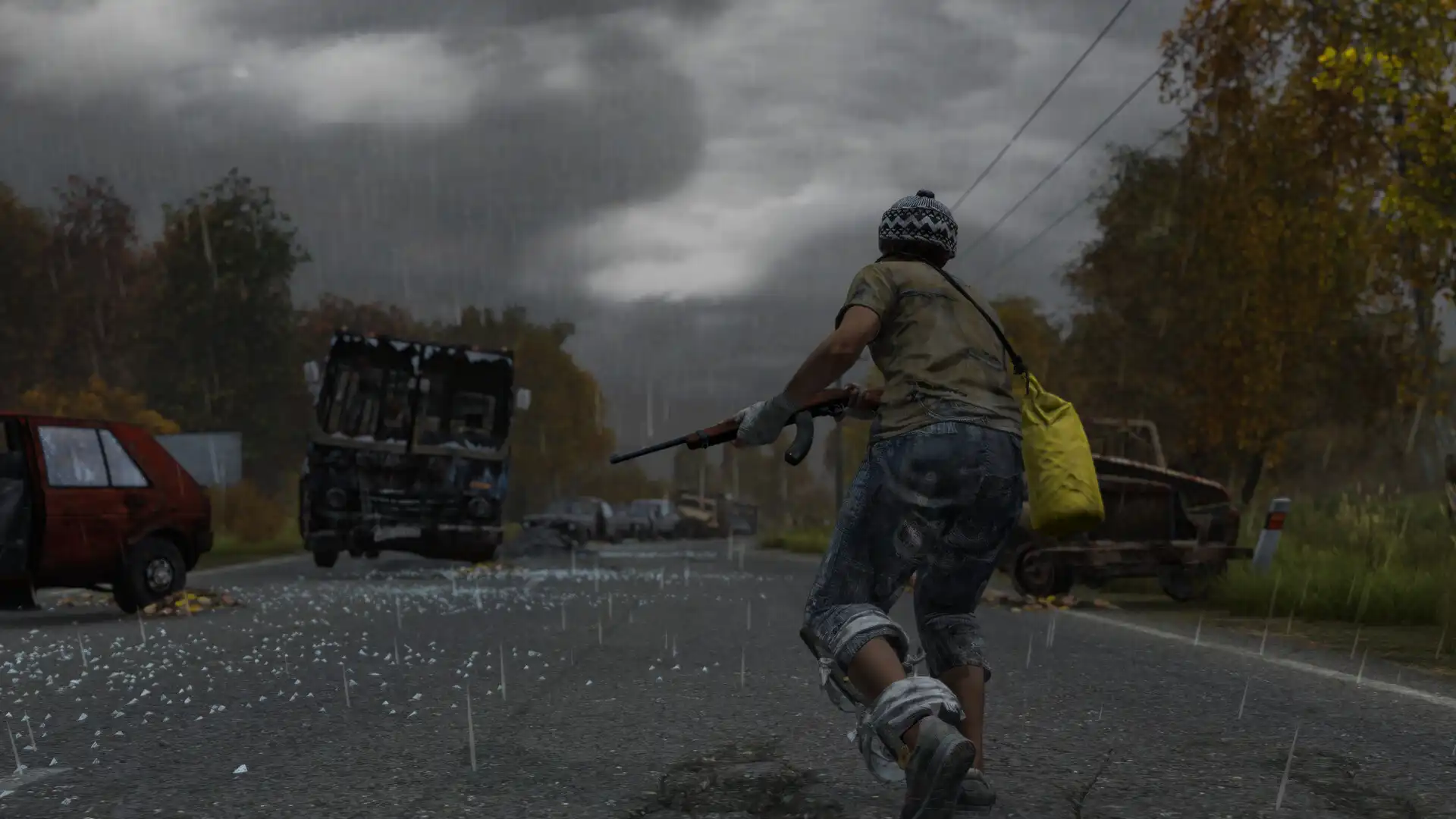 [PC]僵尸末日/DayZ
