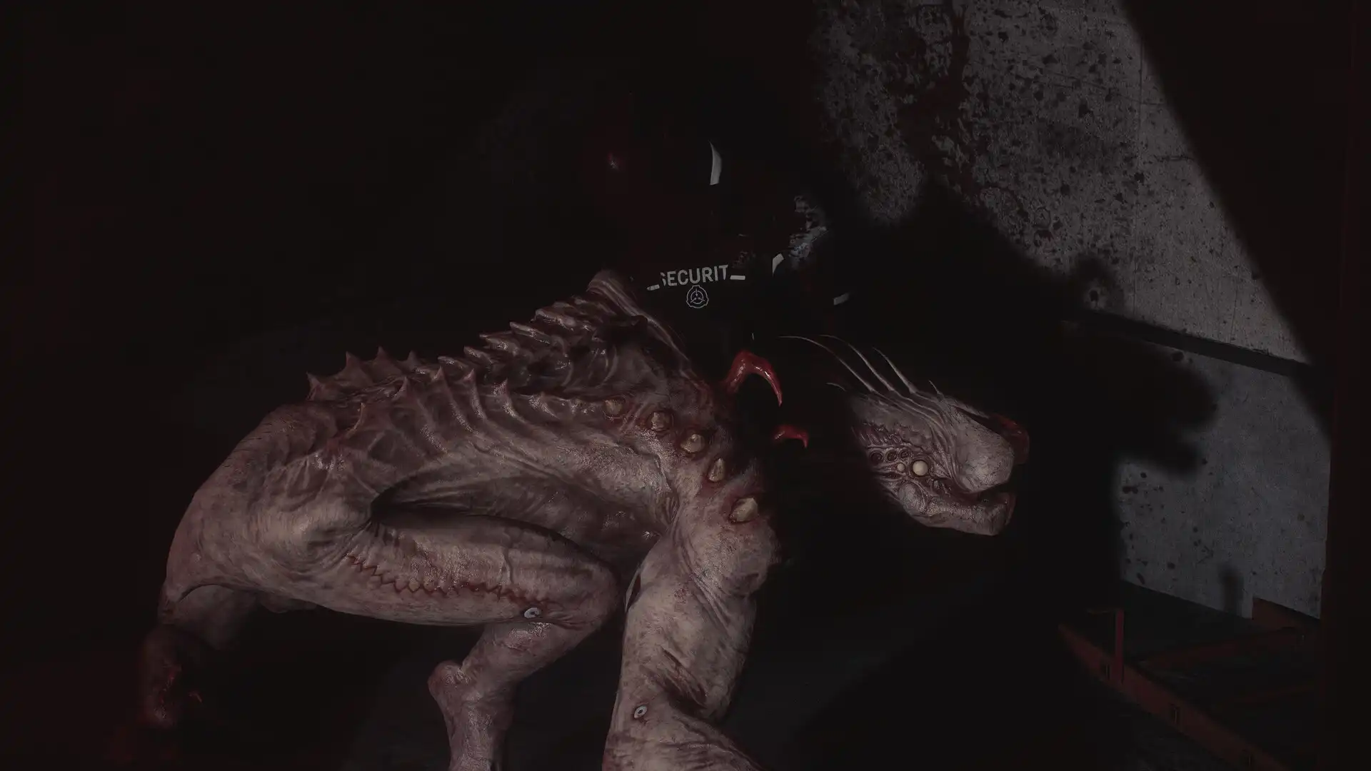 [PC]SCP：大流行病/SCP: 5K