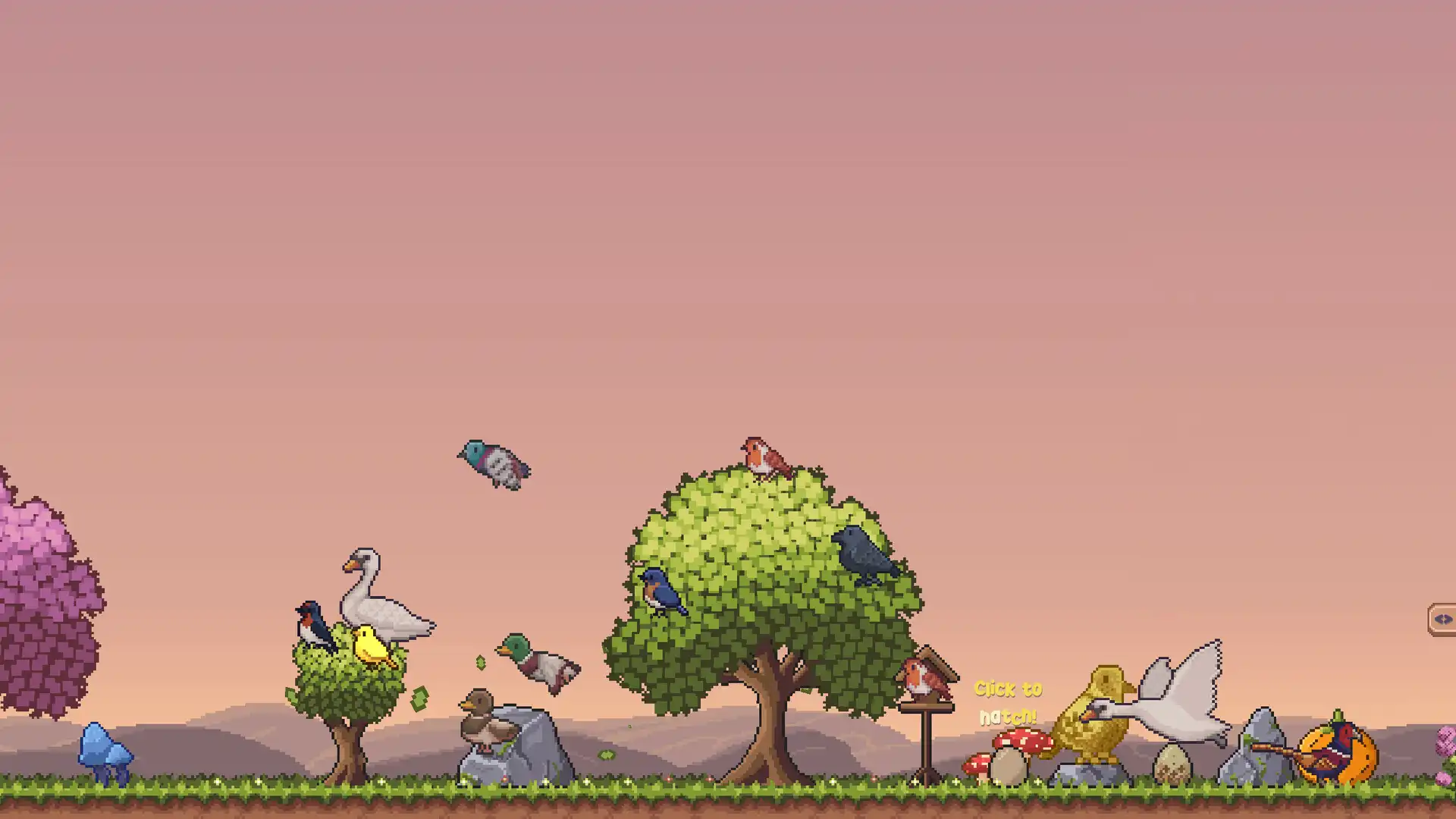 图片[1]-[PC]桌面鸟舍：小小鸟陪你摸大鱼/Little Aviary-芝士游戏