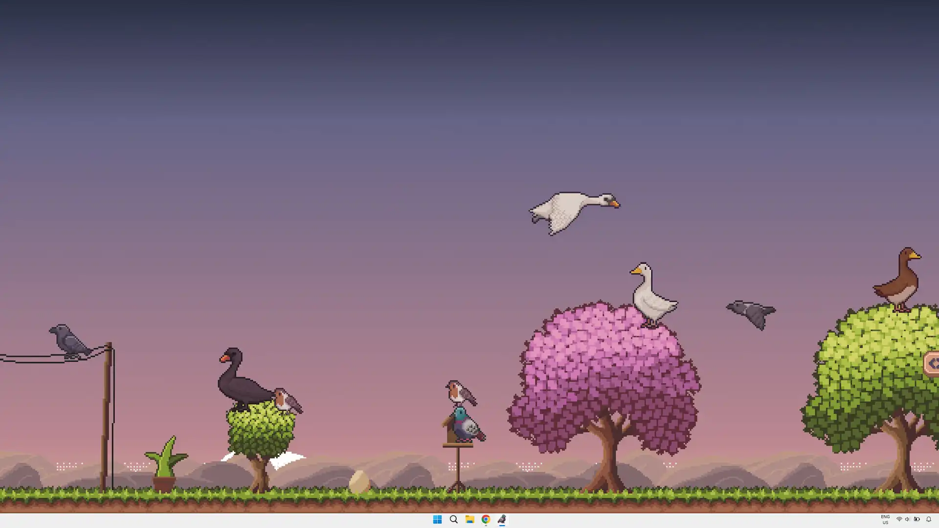 图片[5]-[PC]桌面鸟舍：小小鸟陪你摸大鱼/Little Aviary-芝士游戏