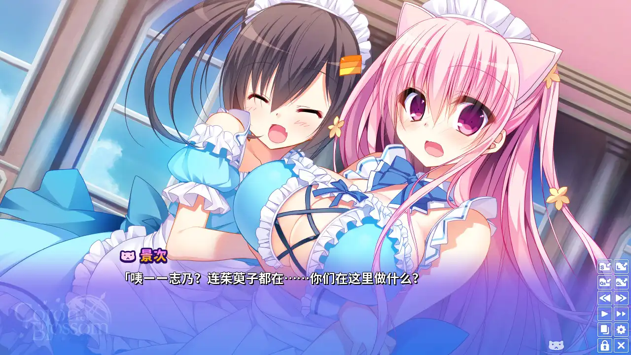 图片[2]-[PC]Corona Blossom-日冕之华- vol.2 自外而来的真相/Corona Blossom Vol.2 The Truth From Beyond-芝士游戏