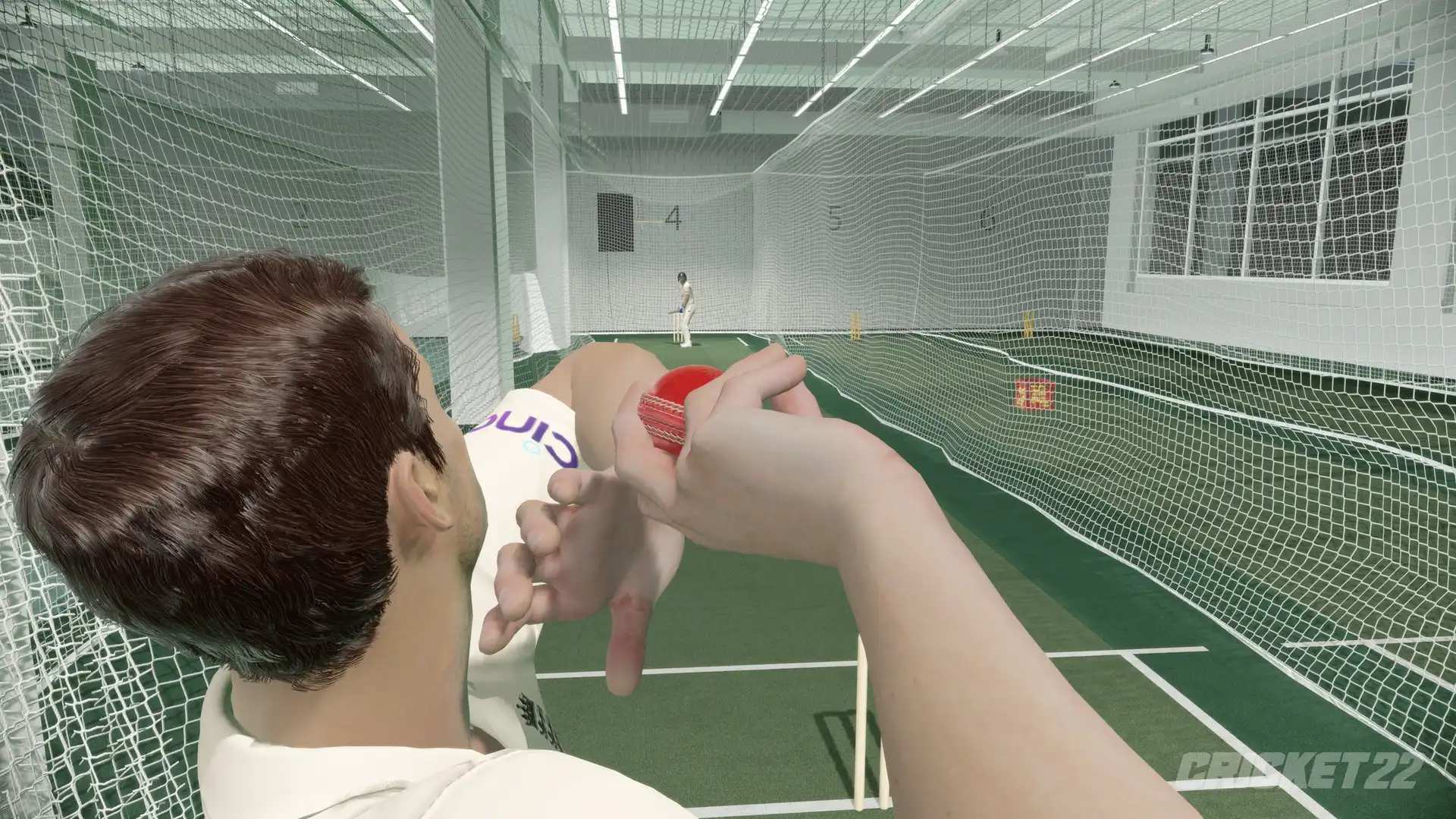 图片[1]-[PC]板球22/Cricket 22-芝士游戏
