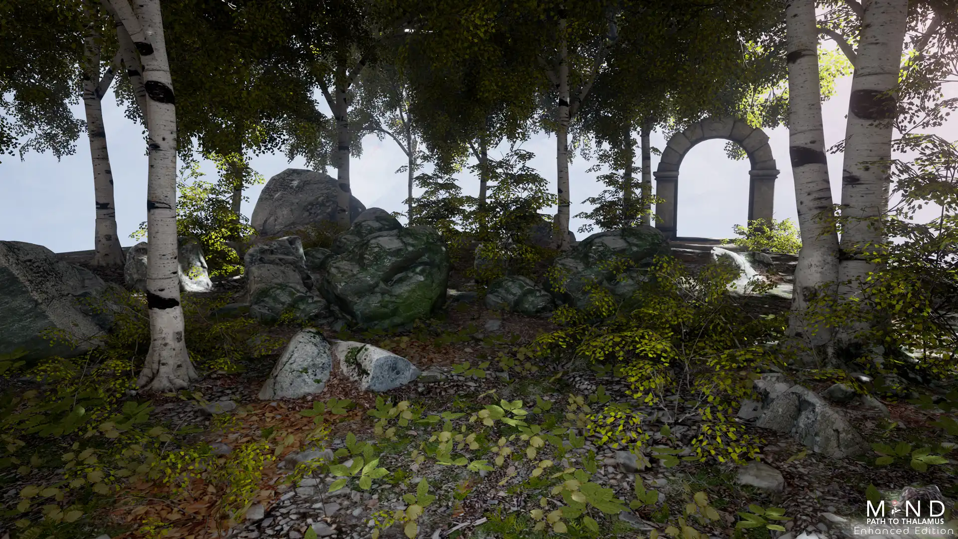 [PC]心智：视丘之径/MIND: Path to Thalamus Enhanced Edition