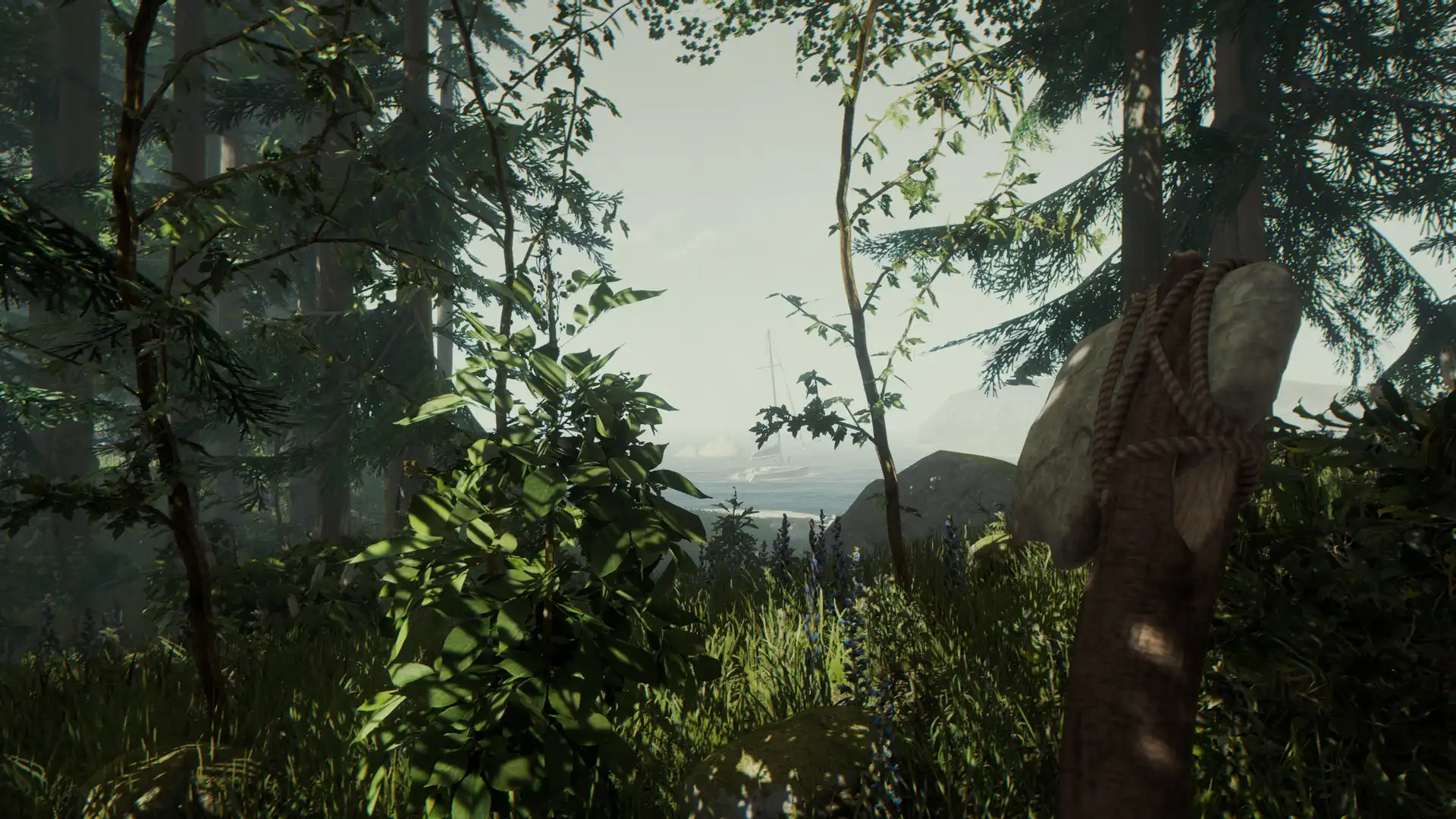 [PC]森林/迷失森林/The Forest