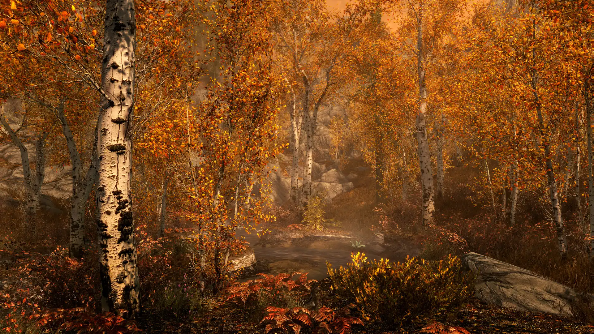 图片[3]-[PC]上古卷轴5：周年纪念版/上古卷轴5：天际10周年重制版/The Elder Scrolls V: Skyrim Special Edition-芝士游戏