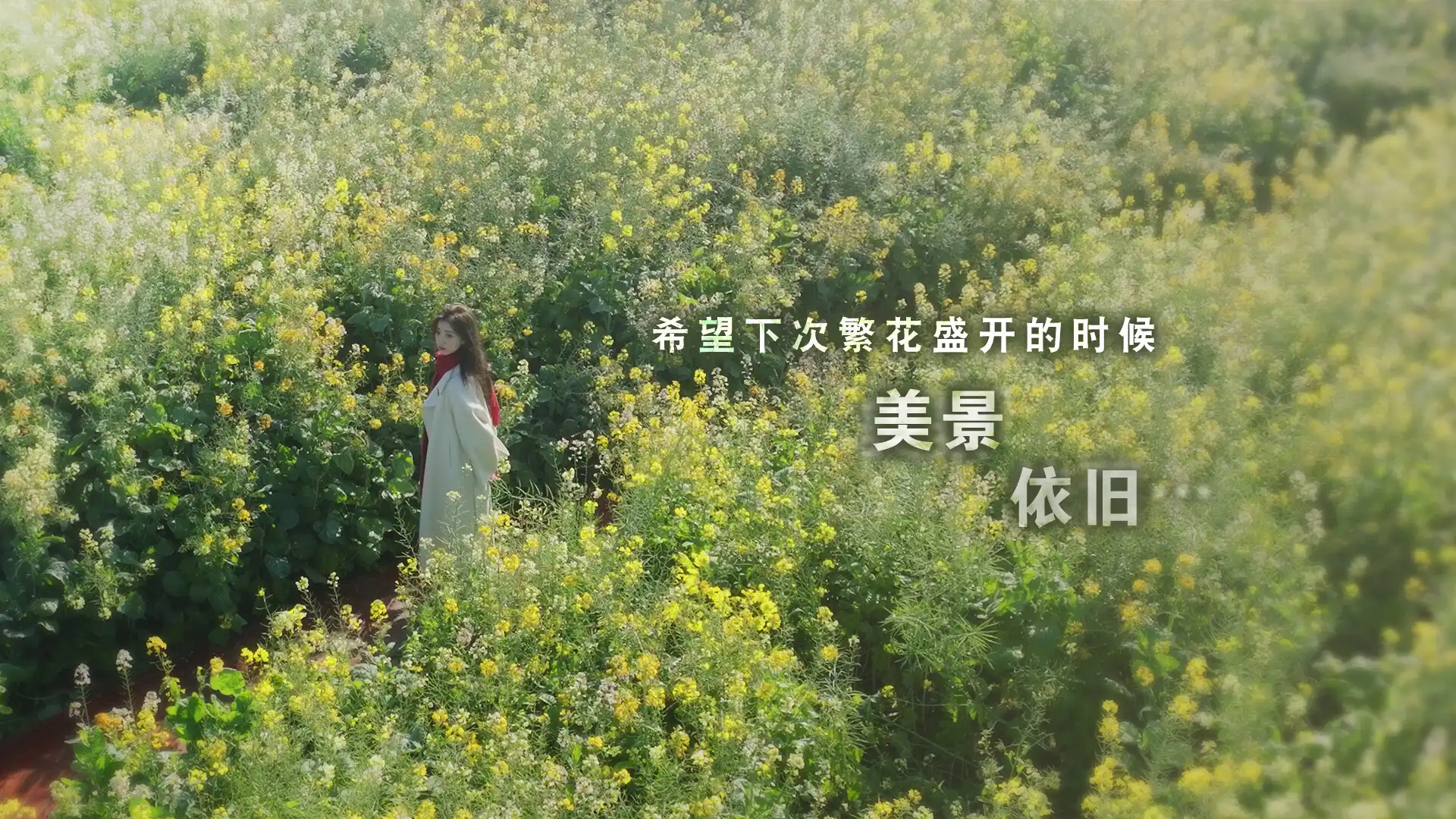 图片[1]-[PC]这个是真的喜欢！/I've Fallen For You!-芝士游戏
