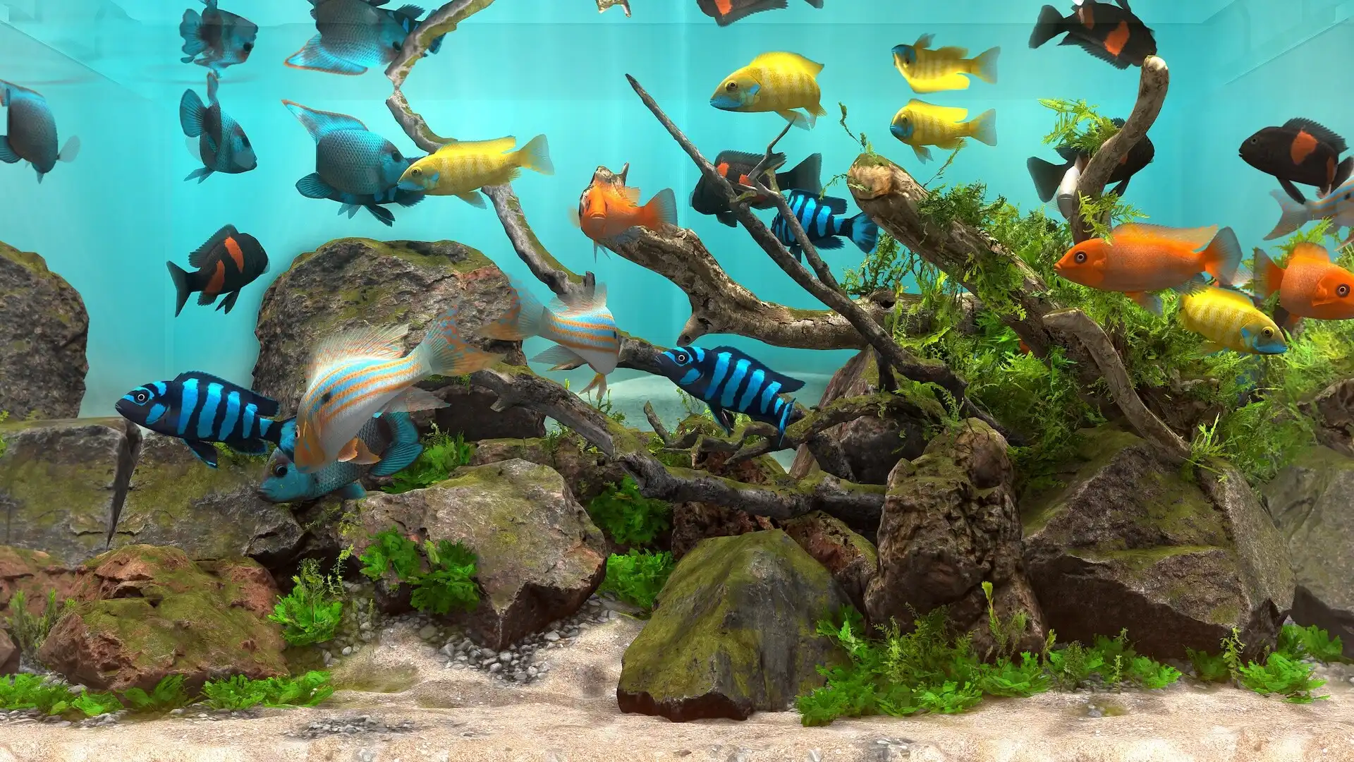 [PC]玻璃背后：水族馆模拟器/Behind Glass: Aquarium Simulator
