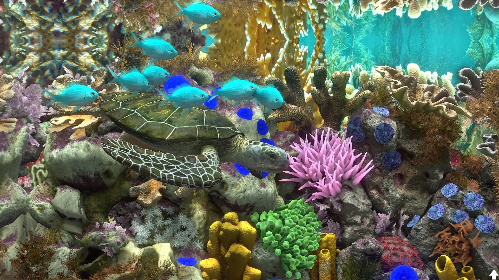 [PC]玻璃背后：水族馆模拟器/Behind Glass: Aquarium Simulator
