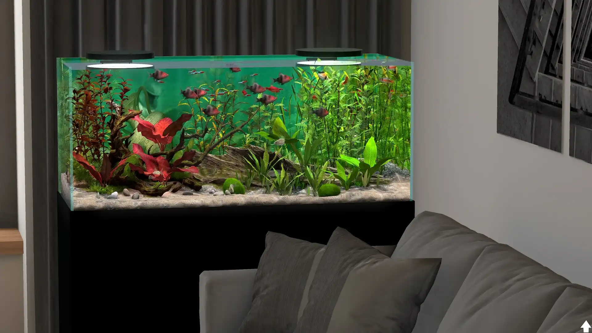 [PC]玻璃背后：水族馆模拟器/Behind Glass: Aquarium Simulator