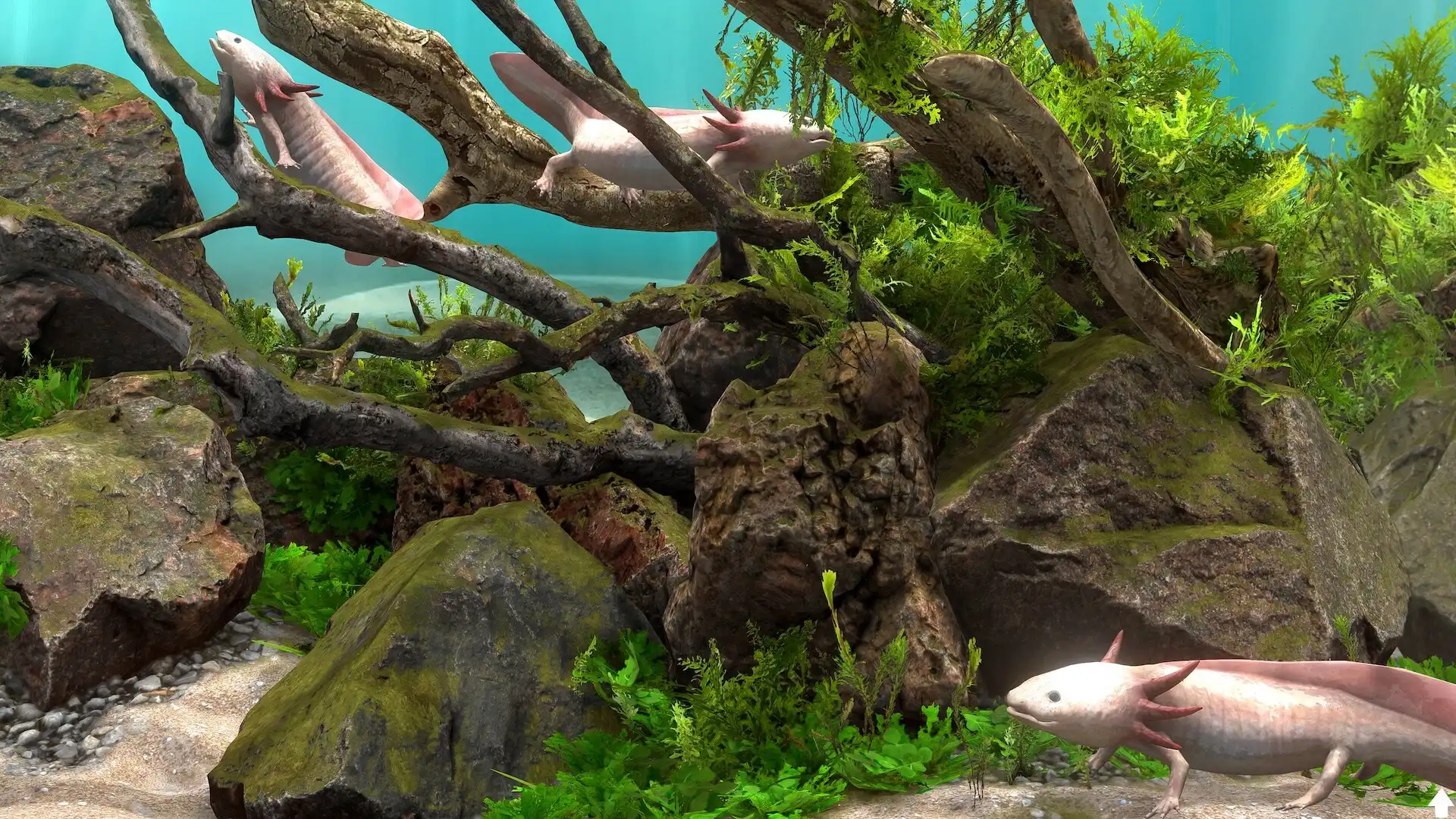 [PC]玻璃背后：水族馆模拟器/Behind Glass: Aquarium Simulator
