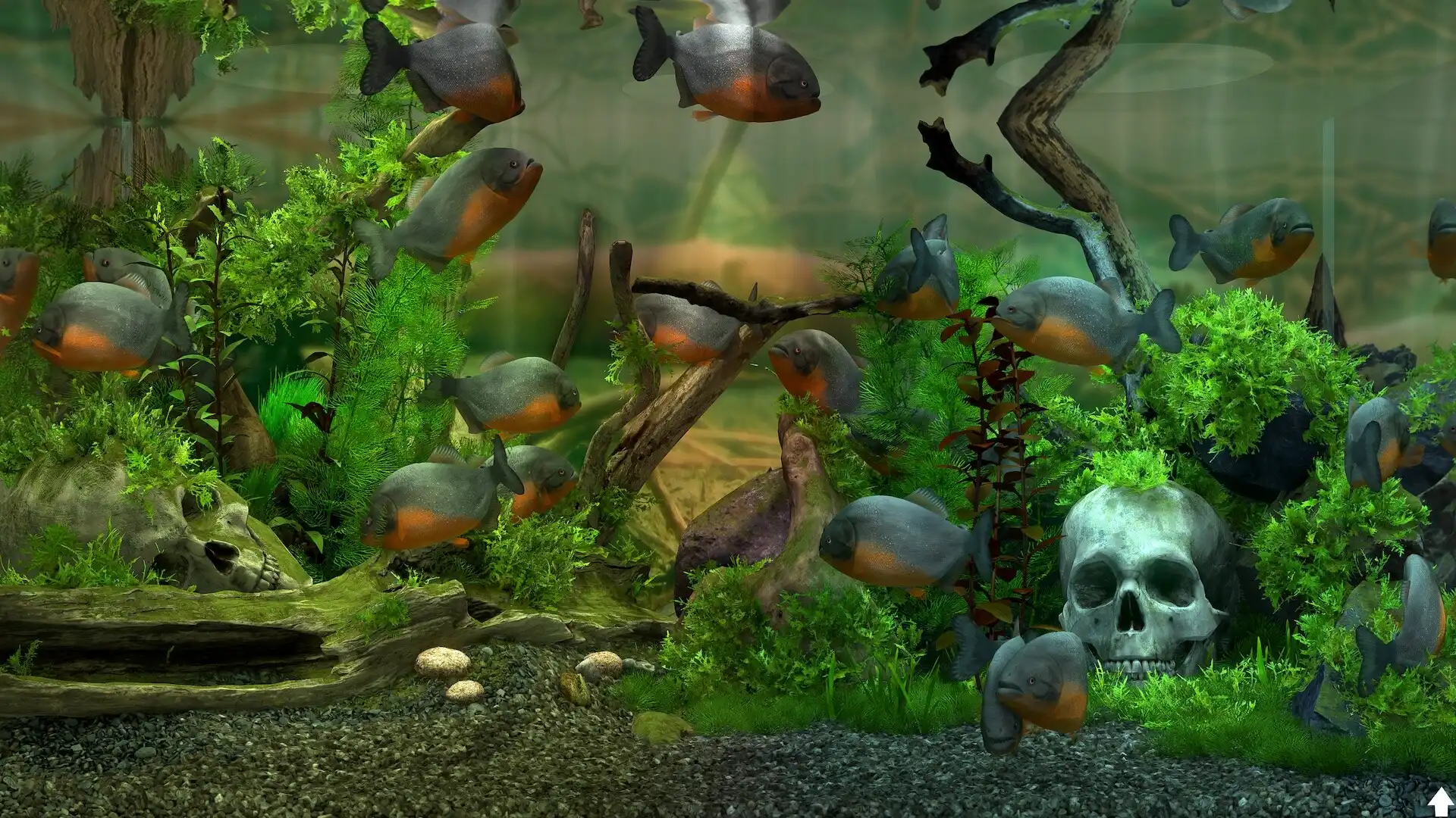 [PC]玻璃背后：水族馆模拟器/Behind Glass: Aquarium Simulator