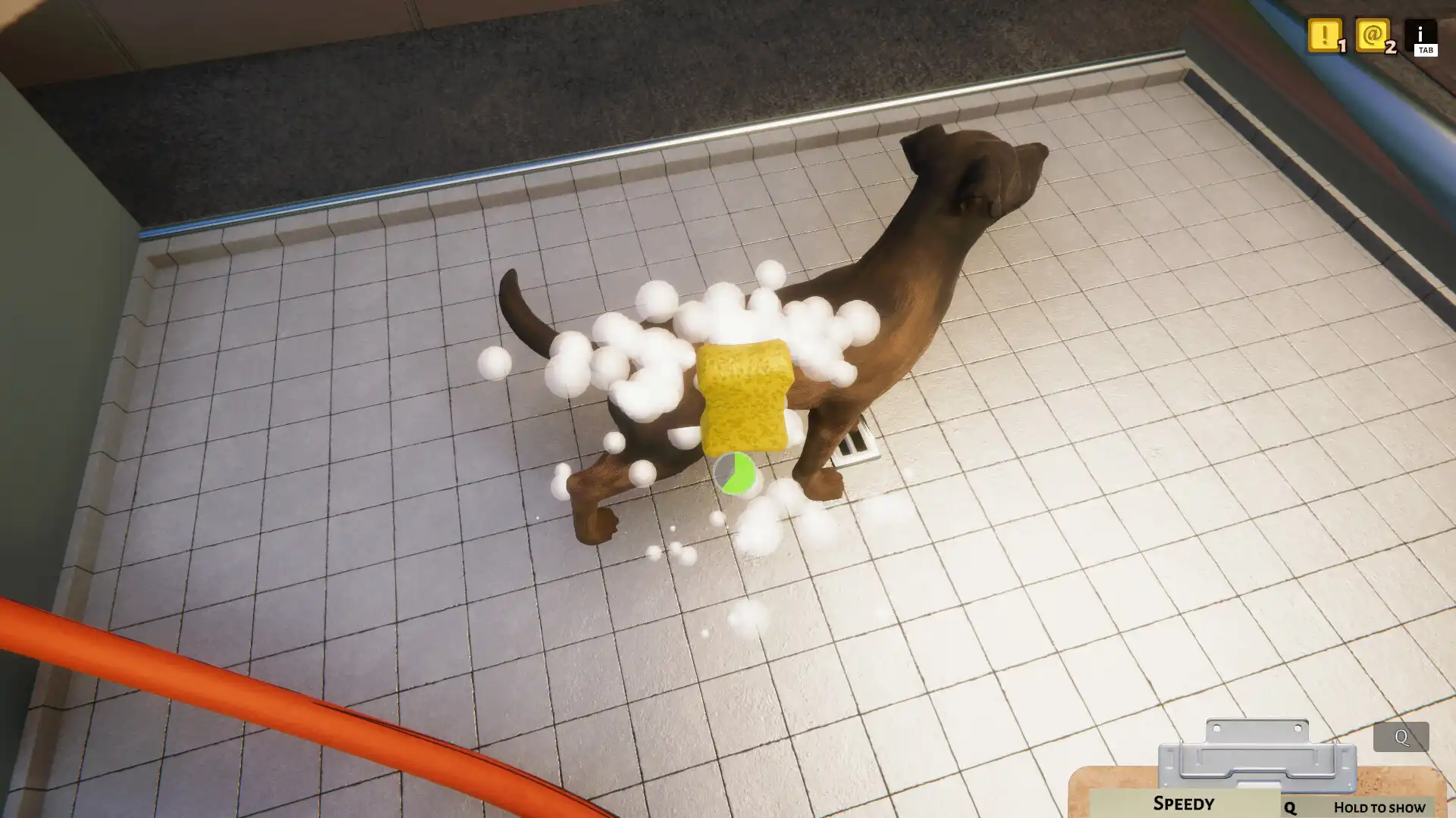 [PC]动物收容所/Animal Shelter
