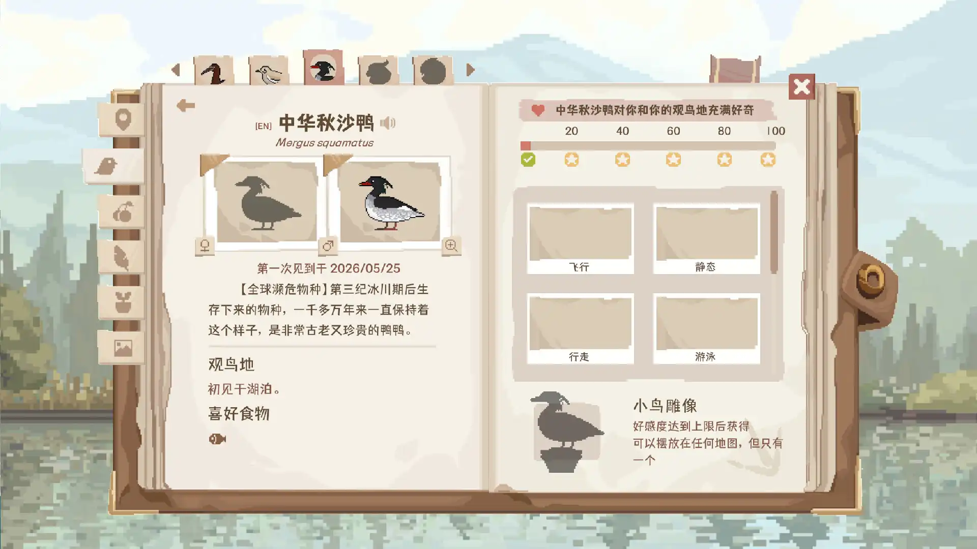图片[6] [PC]观鸟笔记/Birdwatching Notebook | 游戏截图
