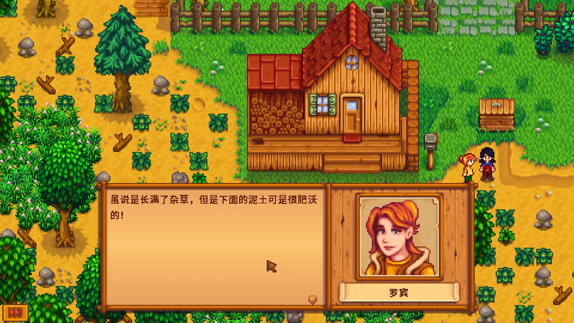 Stardew Valley 游戏截图