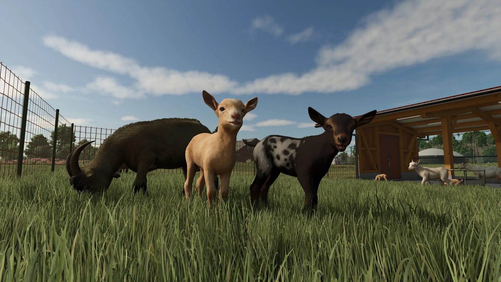 模拟农场25/Farming Simulator 25 游戏截图