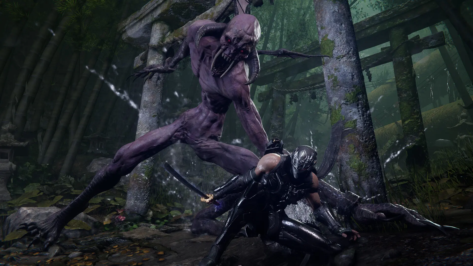 忍者龙剑传4豪华版/NINJA GAIDEN 4 Deluxe Edition 游戏截图