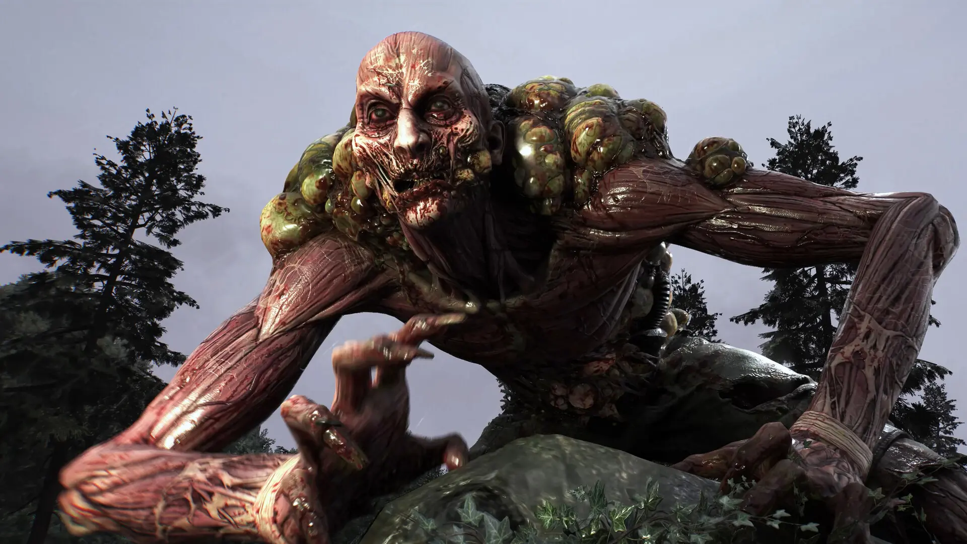 消逝的光芒:困兽/Dying Light: The Beast/支持网络联机 游戏截图