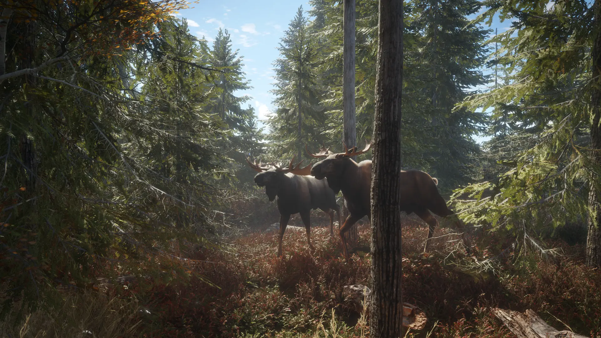 猎人:荒野的召唤/theHunter: Call of the Wild 游戏截图