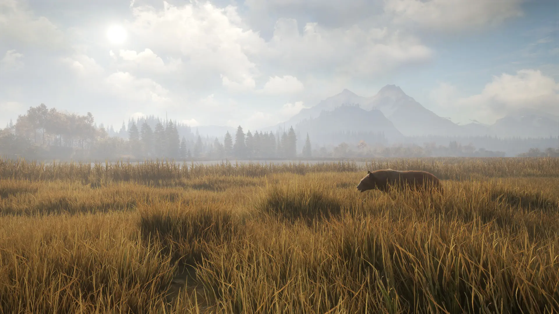 猎人:荒野的召唤/theHunter: Call of the Wild 游戏截图