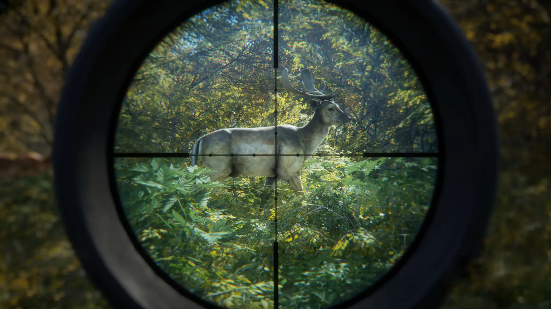 猎人:荒野的召唤/theHunter: Call of the Wild 游戏截图