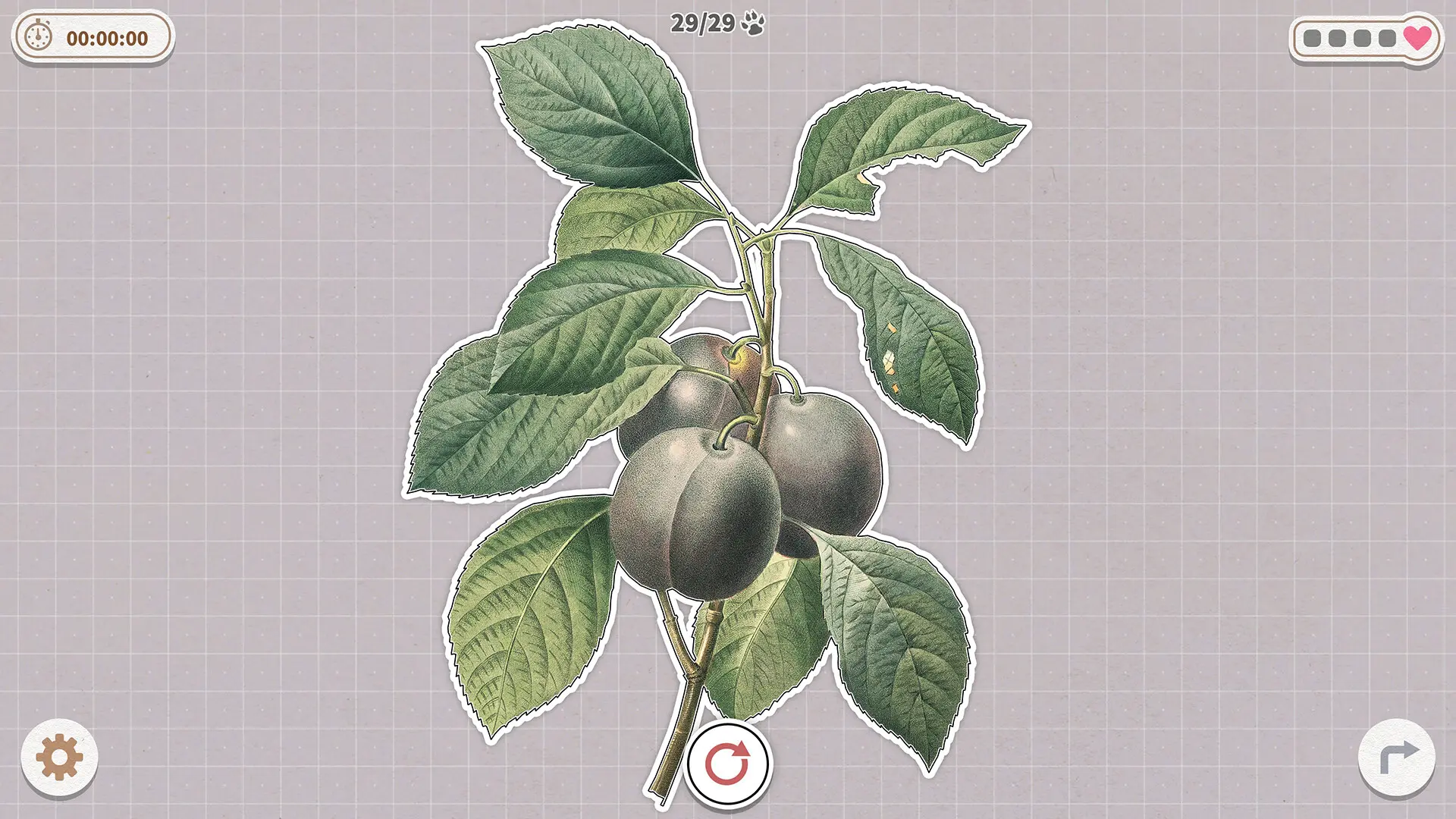 挤在一起的植物/Plants Huddled Together 游戏截图