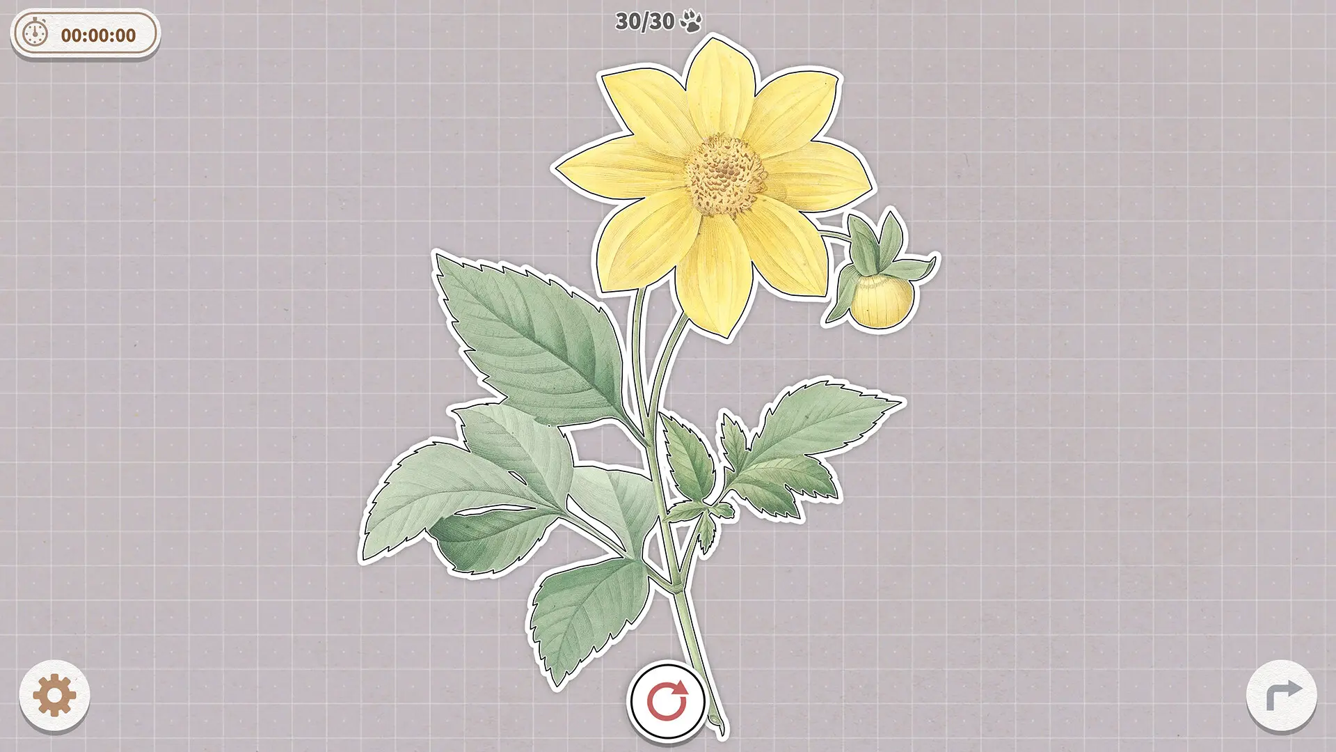 挤在一起的植物/Plants Huddled Together 游戏截图