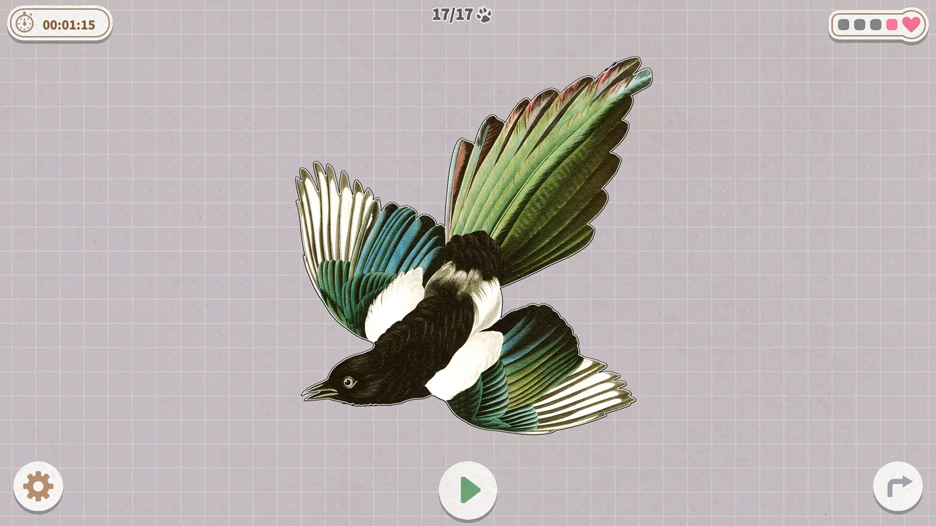 挤在一起的鸟鸟/Birds Huddled Together 游戏截图