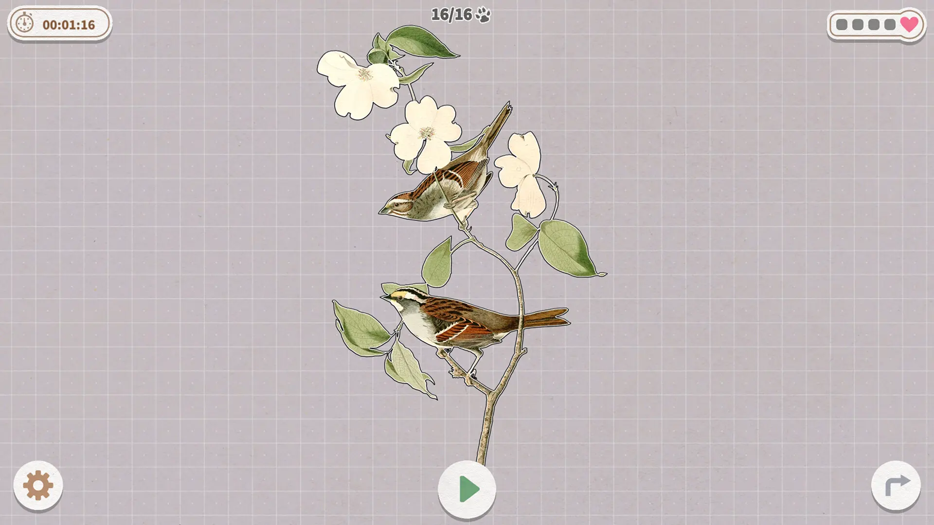 挤在一起的鸟鸟/Birds Huddled Together 游戏截图