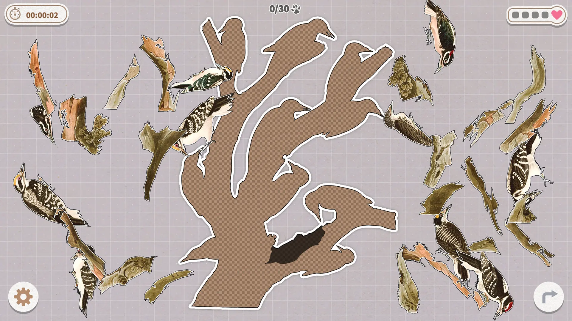 挤在一起的鸟鸟/Birds Huddled Together 游戏截图