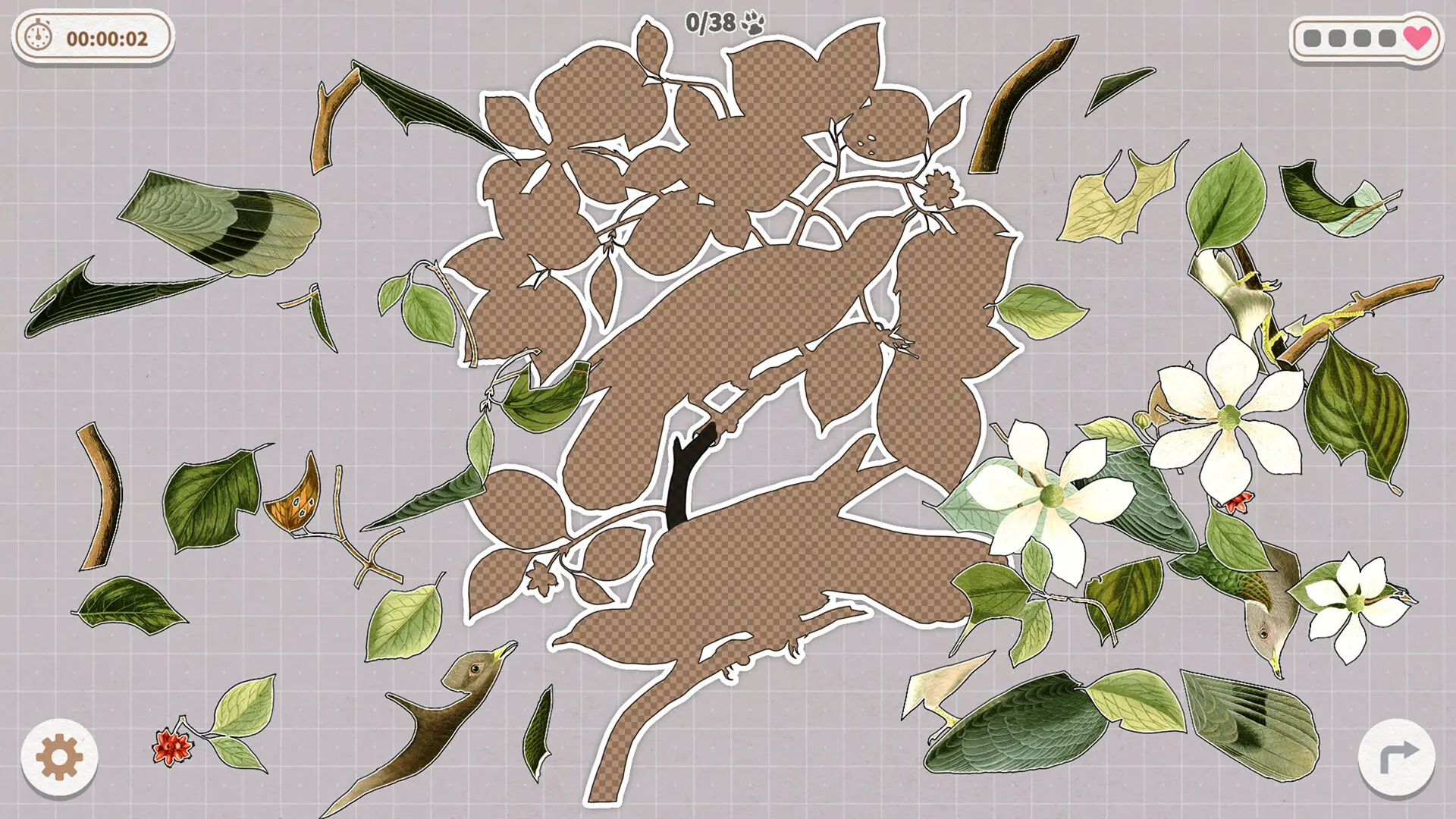 挤在一起的鸟鸟/Birds Huddled Together 游戏截图