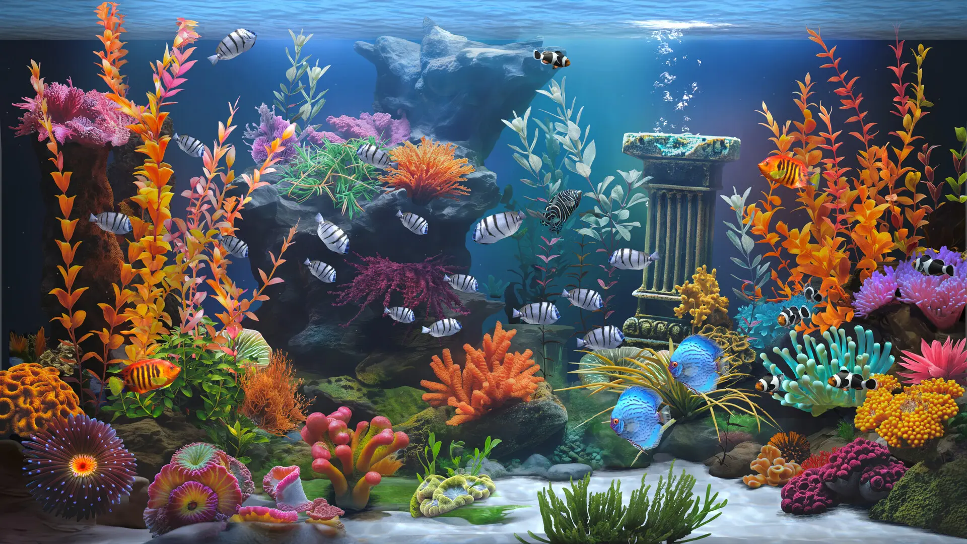 禅意水族馆/Zen Aquarium 游戏截图