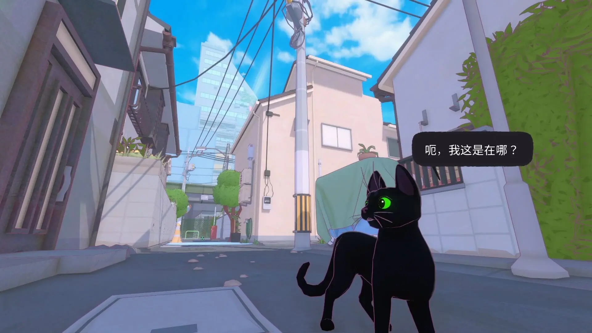 小猫咪大城市/Little Kitty, Big City 游戏截图